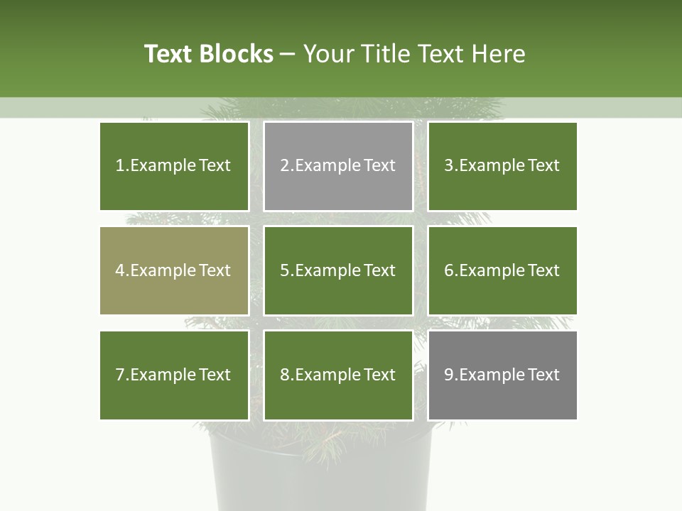 A Plant In A Pot On A White Background PowerPoint Template