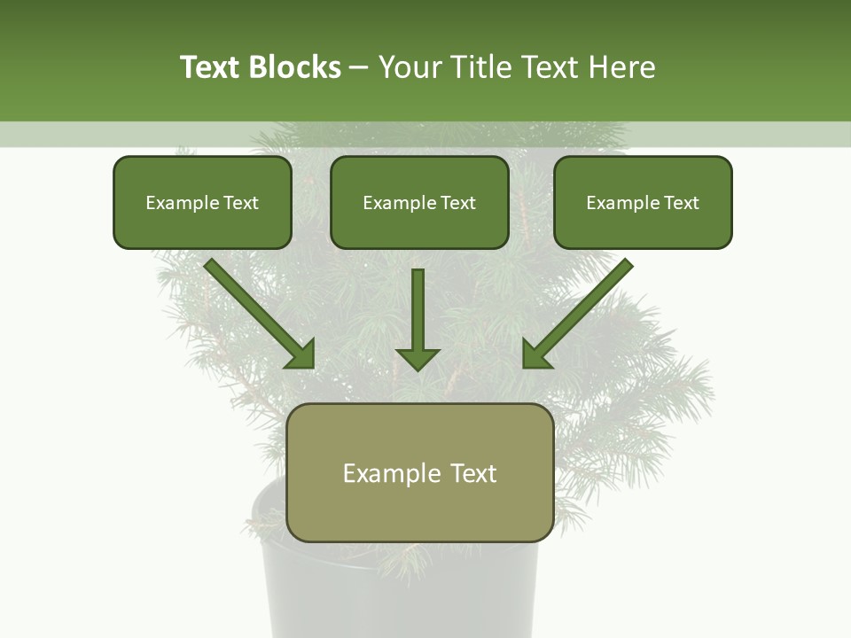 A Plant In A Pot On A White Background PowerPoint Template