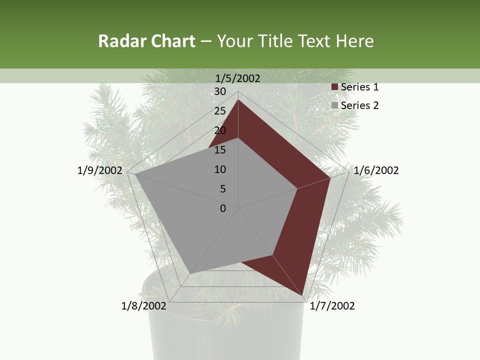 A Plant In A Pot On A White Background PowerPoint Template