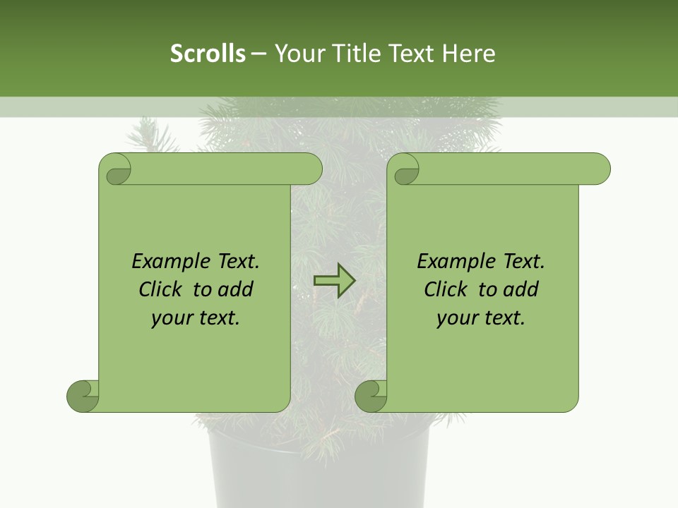 A Plant In A Pot On A White Background PowerPoint Template