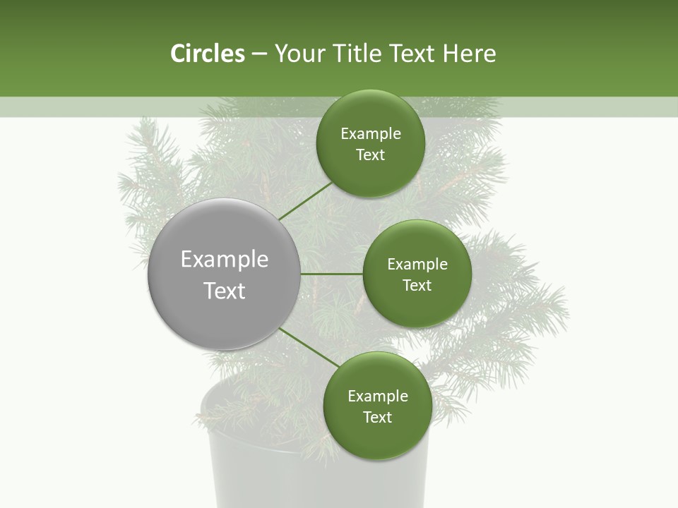 A Plant In A Pot On A White Background PowerPoint Template