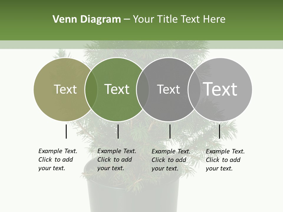 A Plant In A Pot On A White Background PowerPoint Template