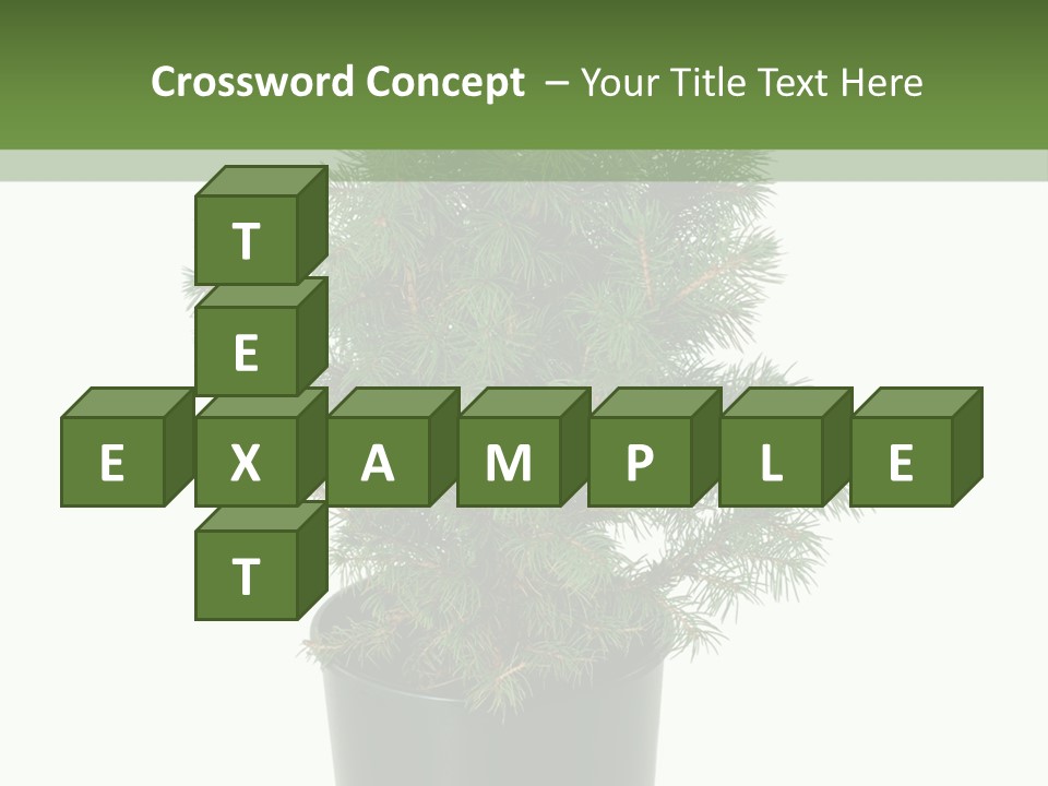 A Plant In A Pot On A White Background PowerPoint Template