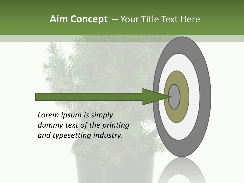 A Plant In A Pot On A White Background PowerPoint Template