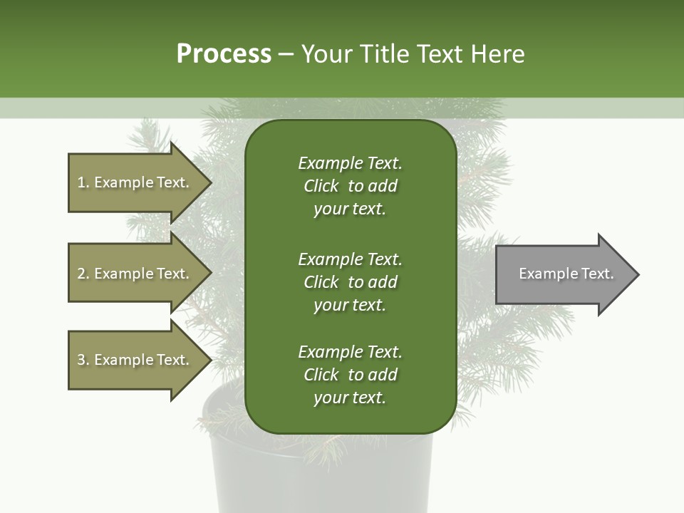 A Plant In A Pot On A White Background PowerPoint Template