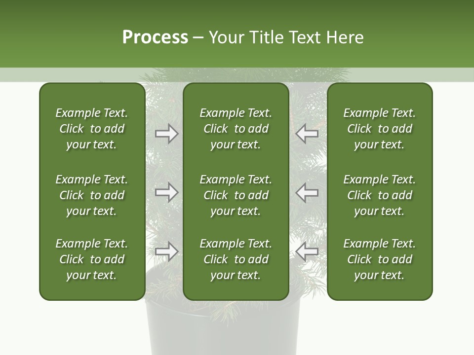 A Plant In A Pot On A White Background PowerPoint Template