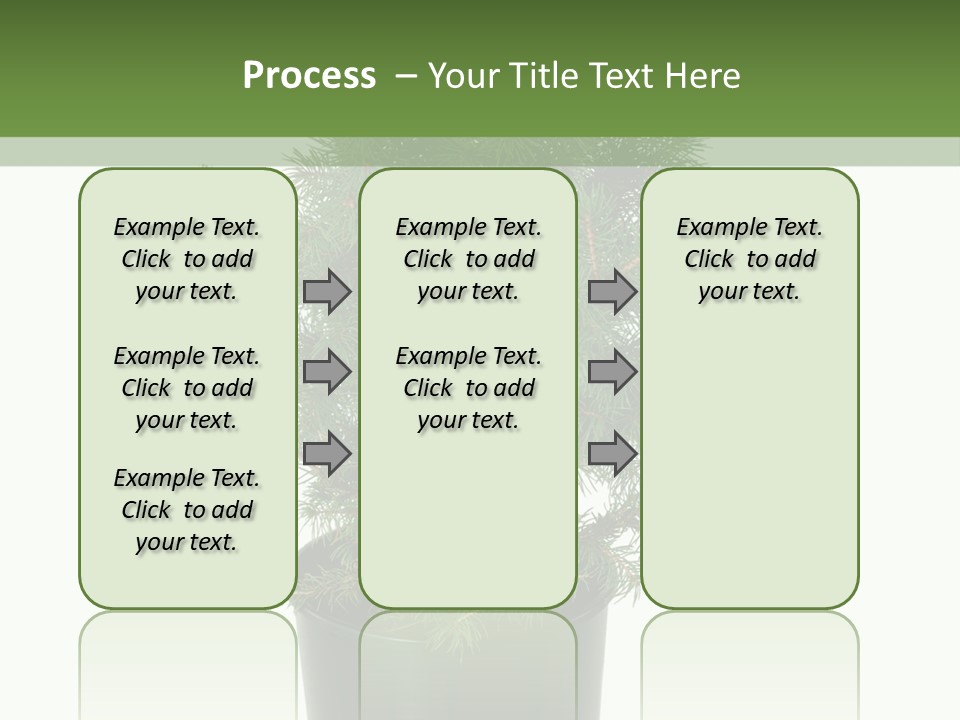 A Plant In A Pot On A White Background PowerPoint Template