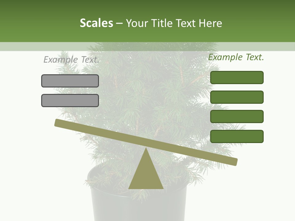 A Plant In A Pot On A White Background PowerPoint Template