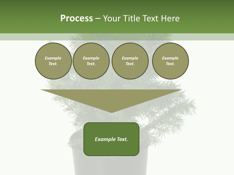 A Plant In A Pot On A White Background PowerPoint Template
