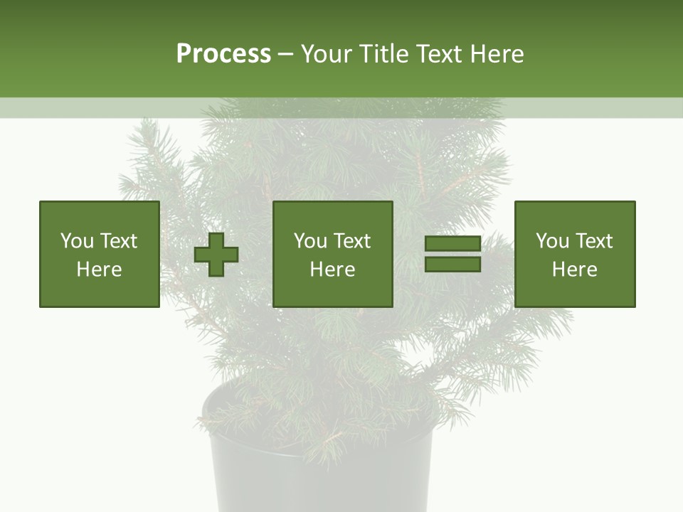 A Plant In A Pot On A White Background PowerPoint Template