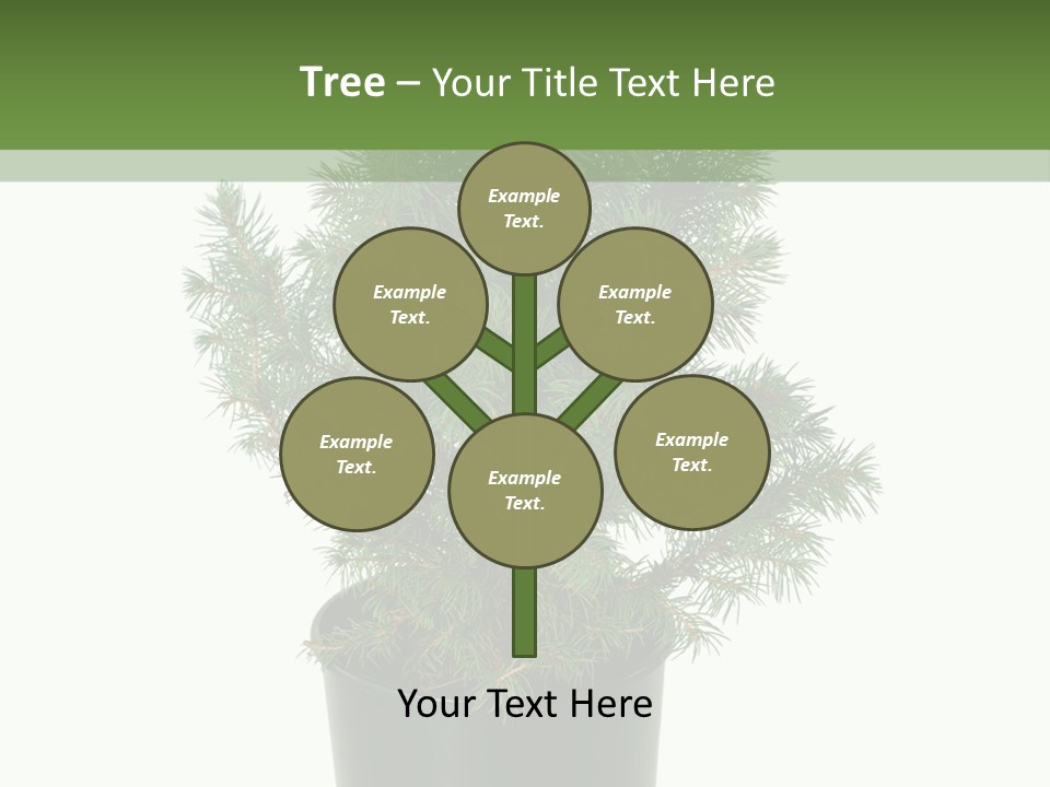 A Plant In A Pot On A White Background PowerPoint Template