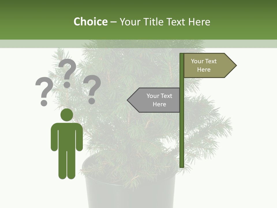 A Plant In A Pot On A White Background PowerPoint Template