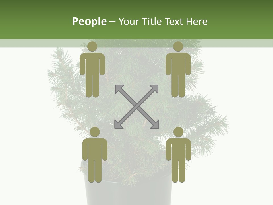 A Plant In A Pot On A White Background PowerPoint Template