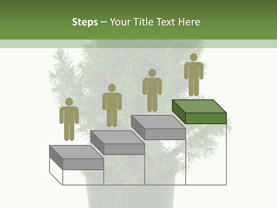 A Plant In A Pot On A White Background PowerPoint Template