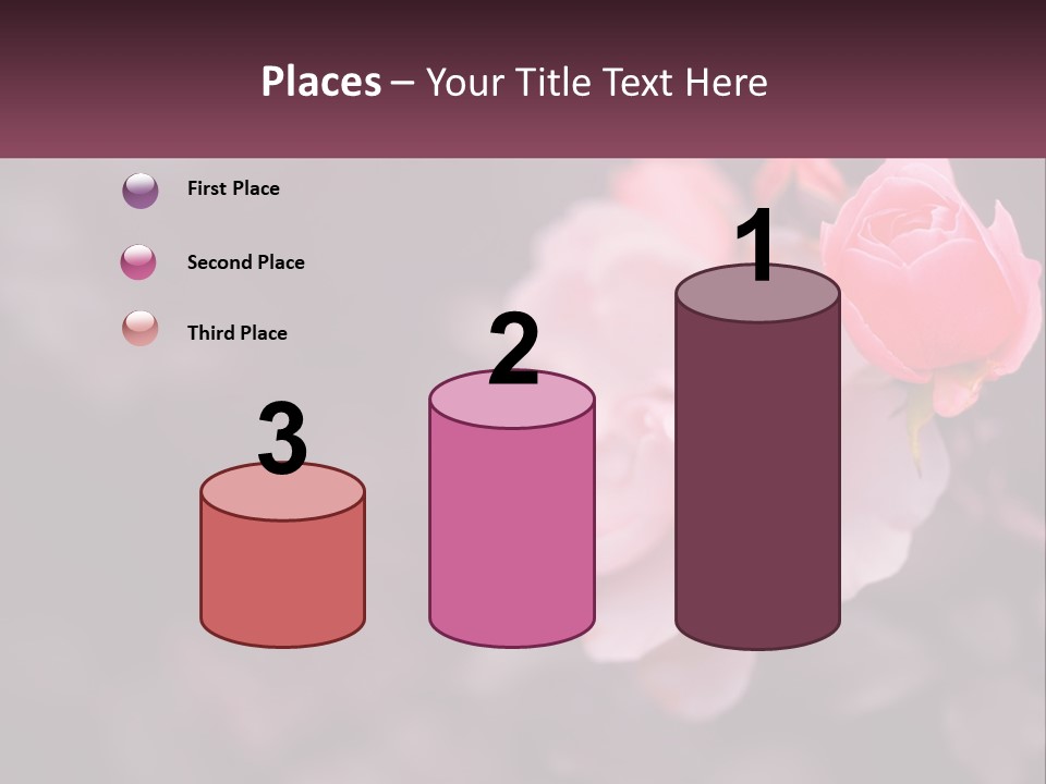 A Pink Rose Is In The Middle Of A Picture PowerPoint Template