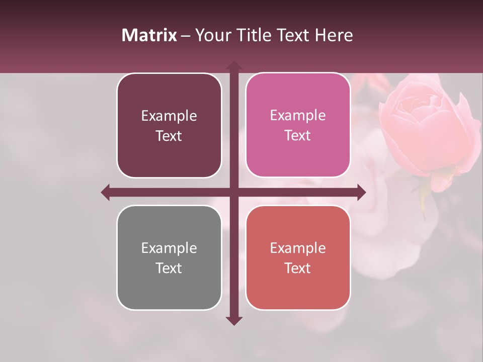 A Pink Rose Is In The Middle Of A Picture PowerPoint Template