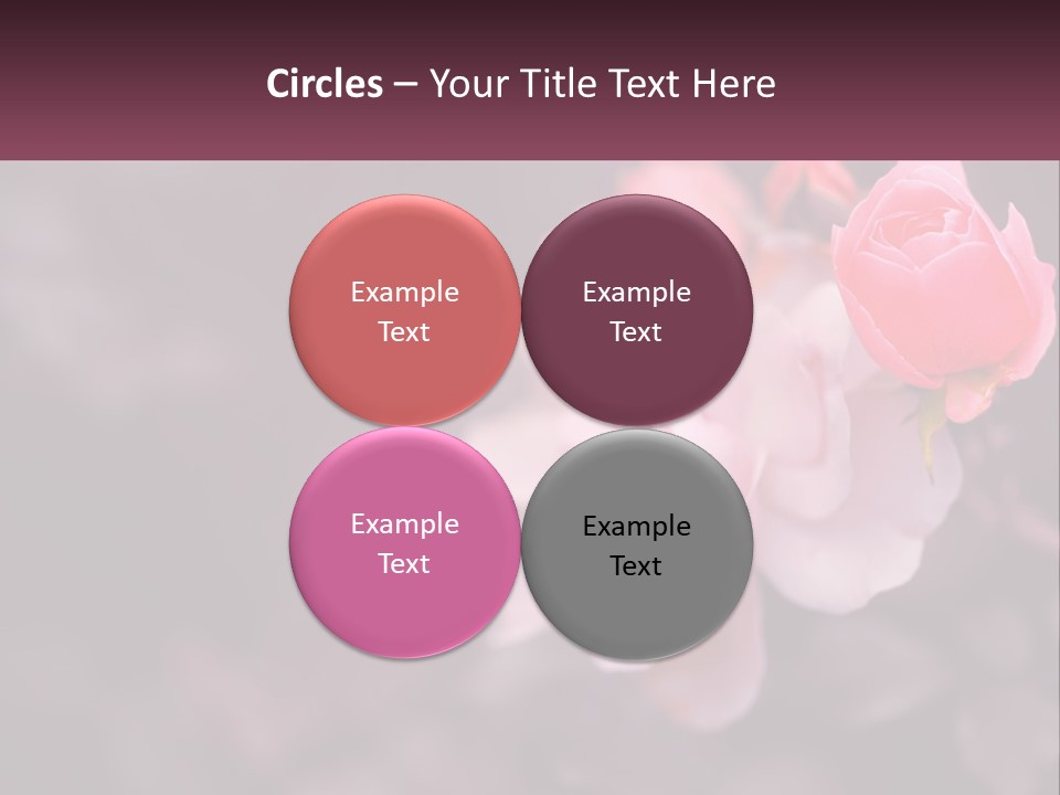 A Pink Rose Is In The Middle Of A Picture PowerPoint Template