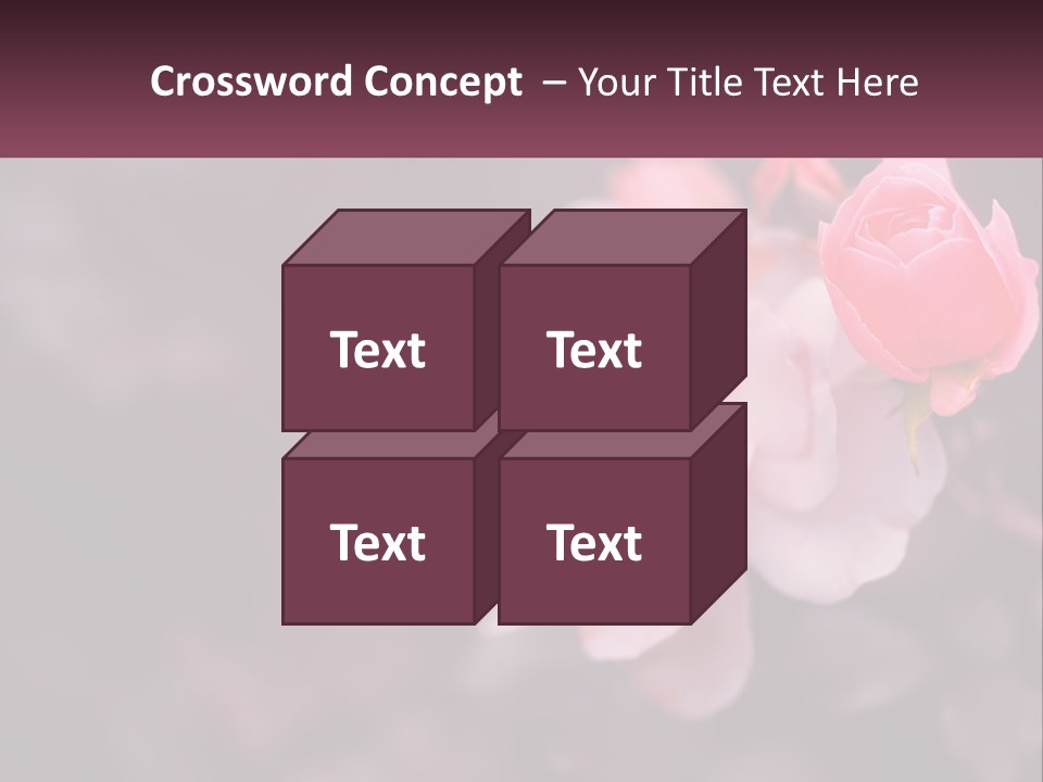 A Pink Rose Is In The Middle Of A Picture PowerPoint Template