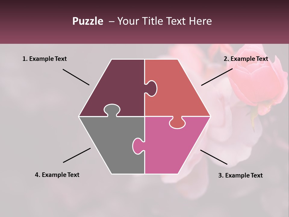 A Pink Rose Is In The Middle Of A Picture PowerPoint Template