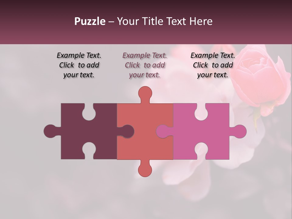 A Pink Rose Is In The Middle Of A Picture PowerPoint Template