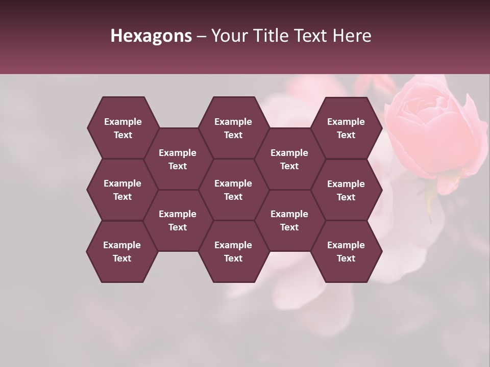 A Pink Rose Is In The Middle Of A Picture PowerPoint Template