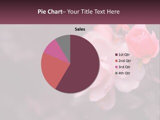 A Pink Rose Is In The Middle Of A Picture PowerPoint Template