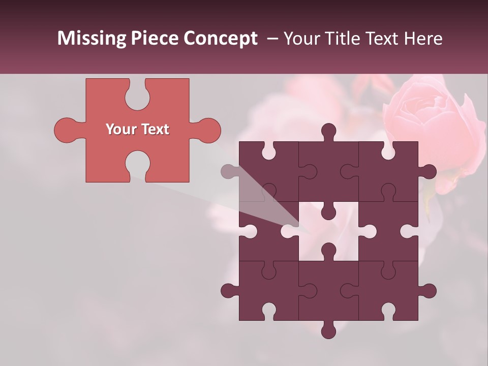 A Pink Rose Is In The Middle Of A Picture PowerPoint Template