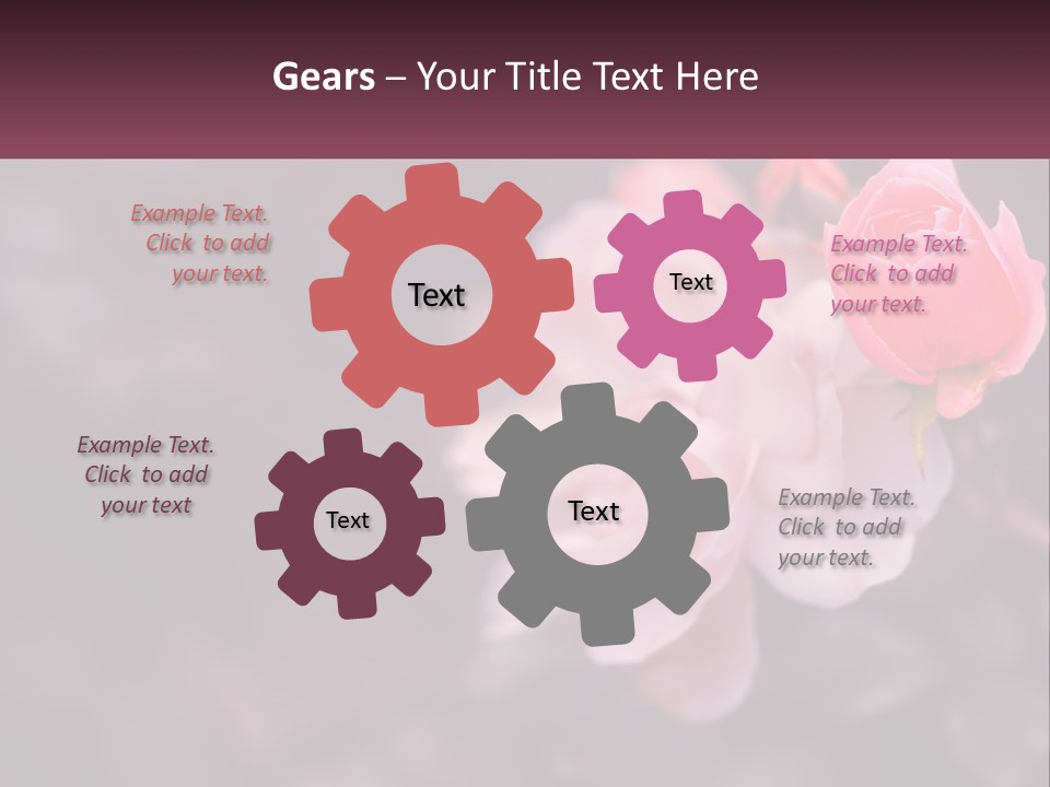 A Pink Rose Is In The Middle Of A Picture PowerPoint Template
