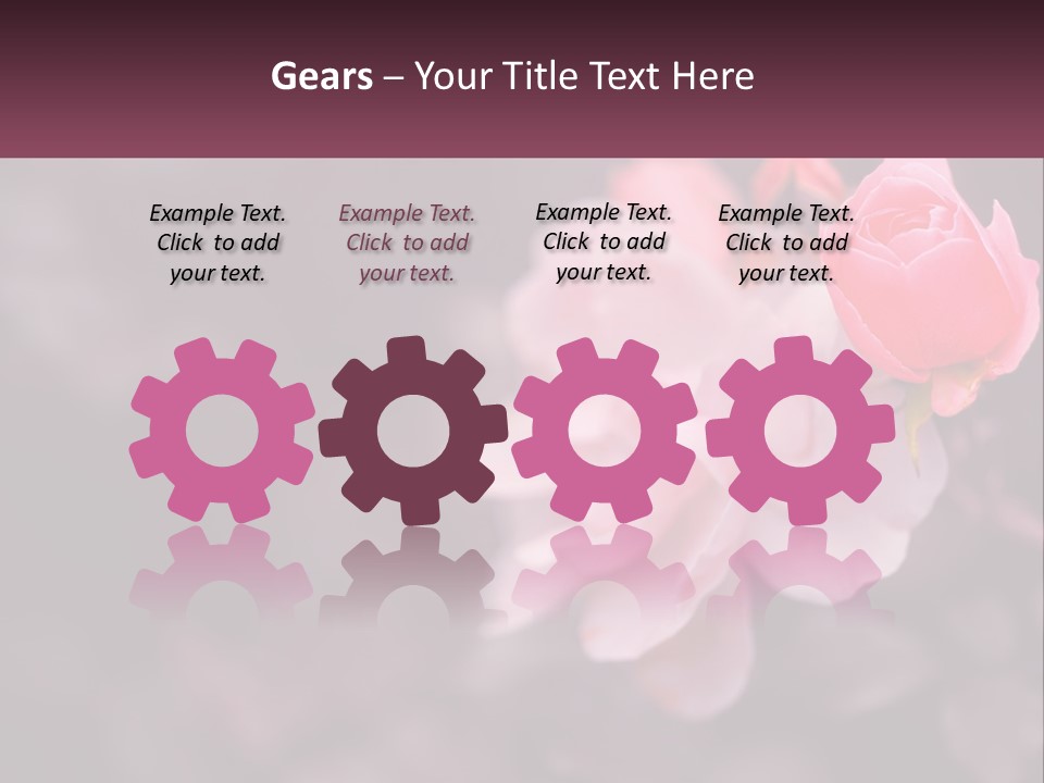 A Pink Rose Is In The Middle Of A Picture PowerPoint Template