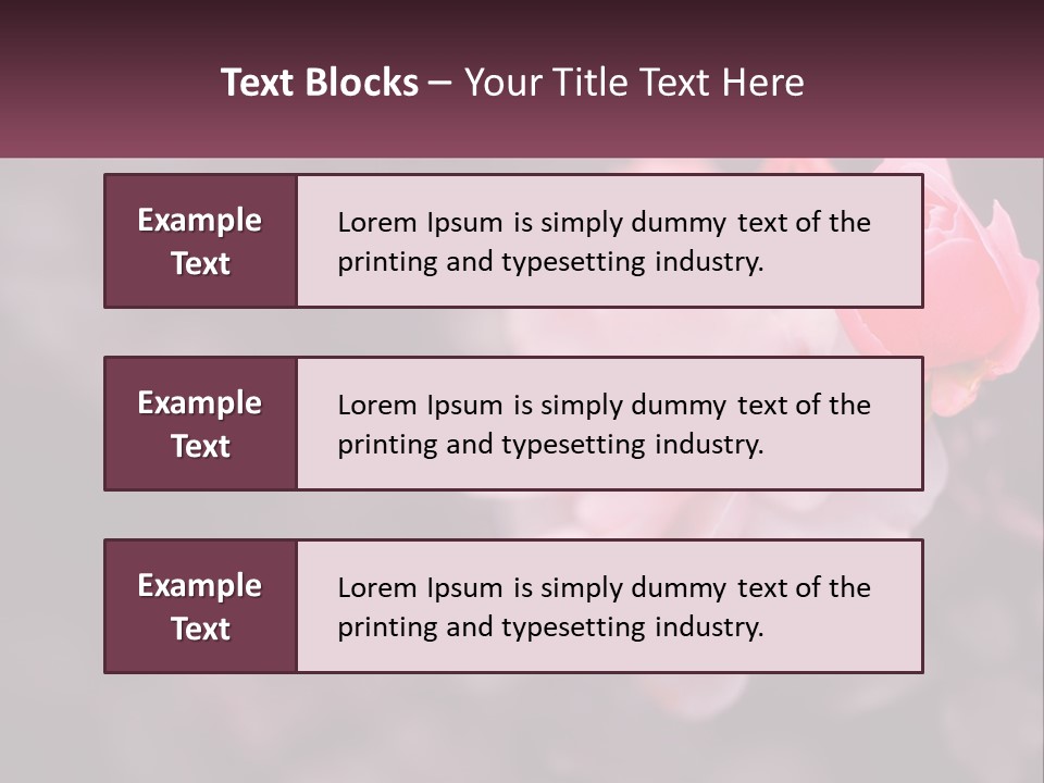 A Pink Rose Is In The Middle Of A Picture PowerPoint Template