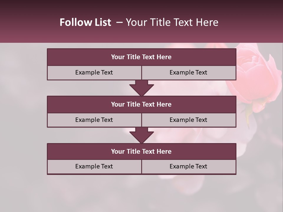 A Pink Rose Is In The Middle Of A Picture PowerPoint Template