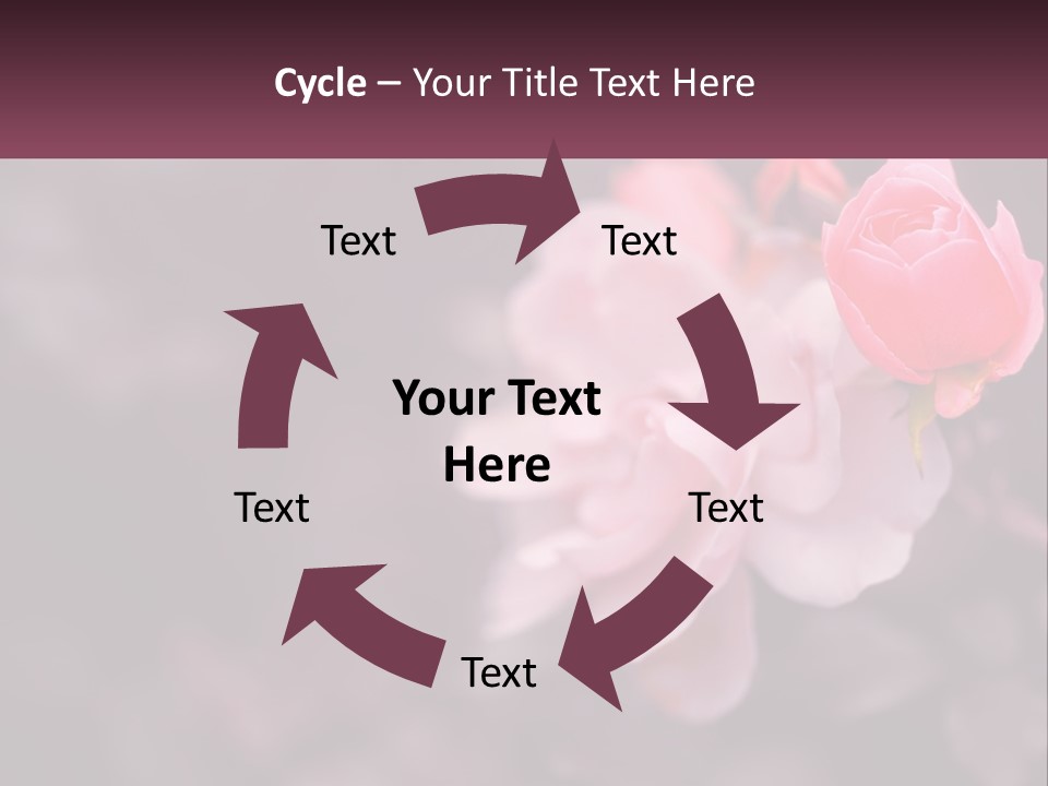 A Pink Rose Is In The Middle Of A Picture PowerPoint Template