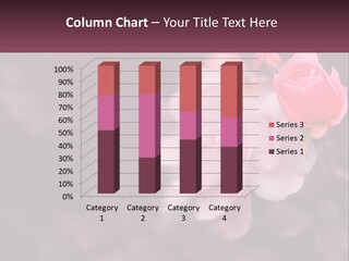 A Pink Rose Is In The Middle Of A Picture PowerPoint Template