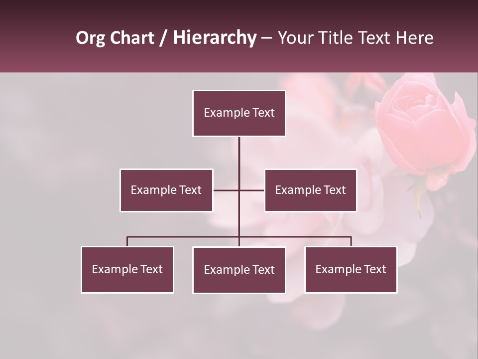 A Pink Rose Is In The Middle Of A Picture PowerPoint Template