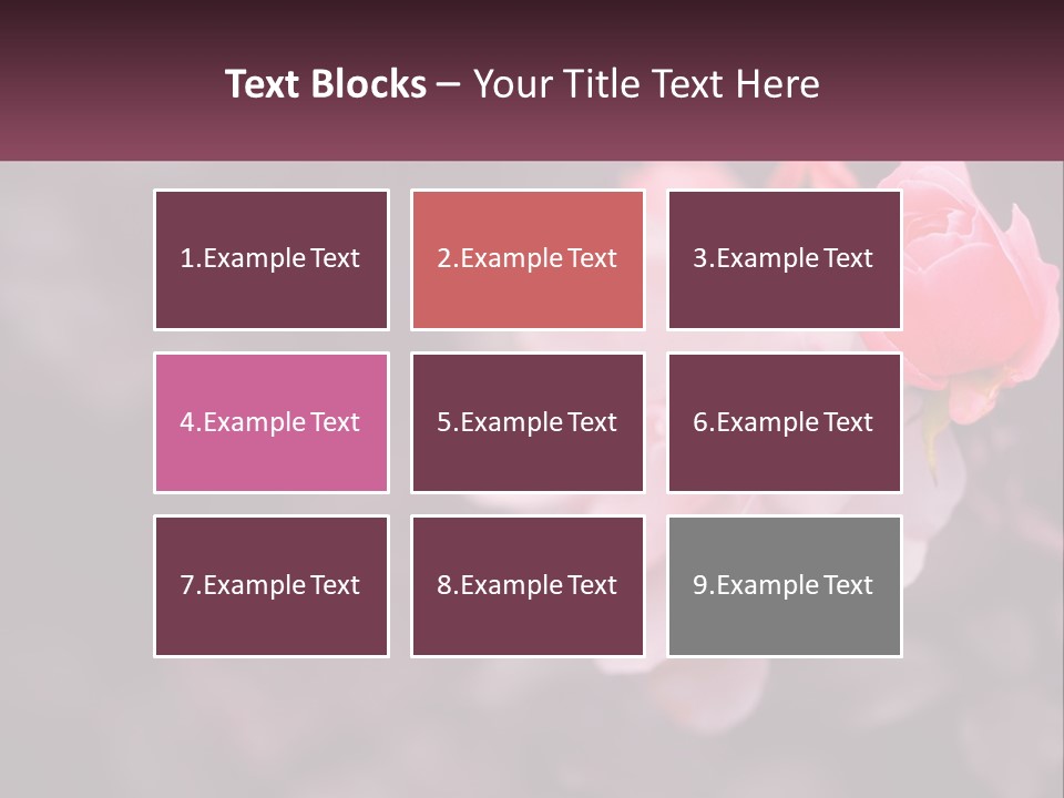 A Pink Rose Is In The Middle Of A Picture PowerPoint Template