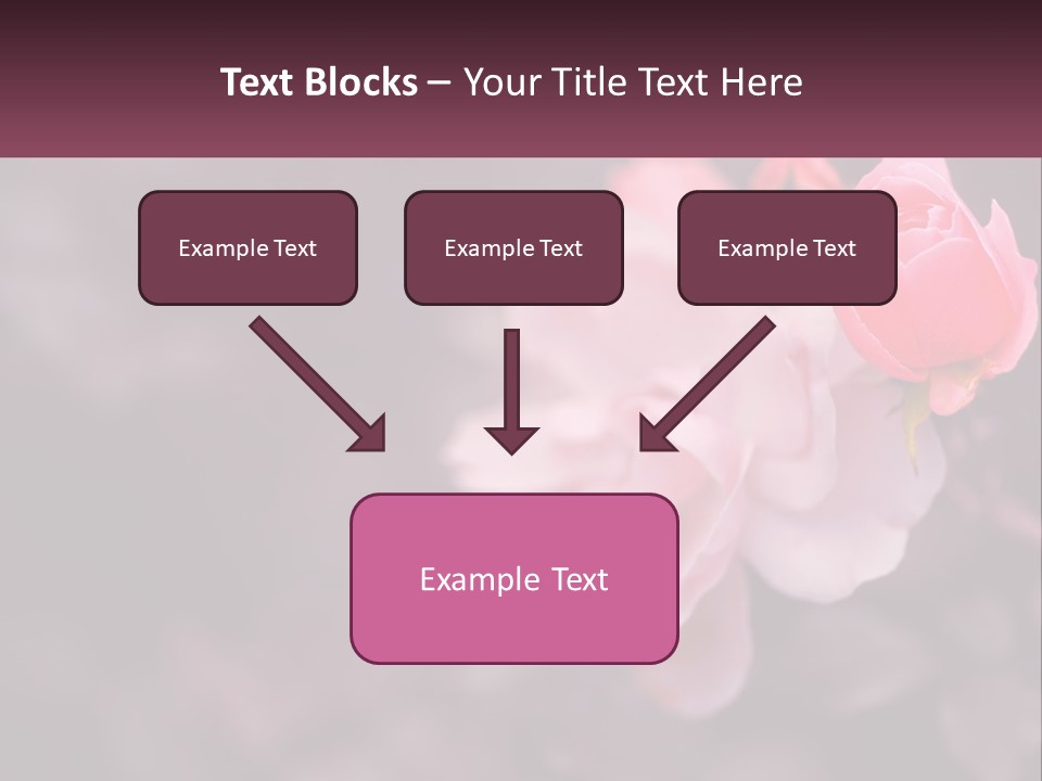 A Pink Rose Is In The Middle Of A Picture PowerPoint Template