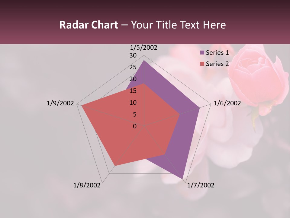 A Pink Rose Is In The Middle Of A Picture PowerPoint Template