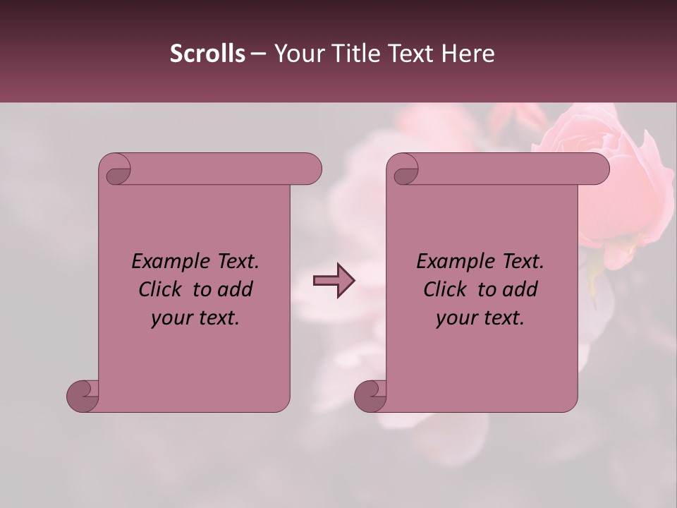 A Pink Rose Is In The Middle Of A Picture PowerPoint Template