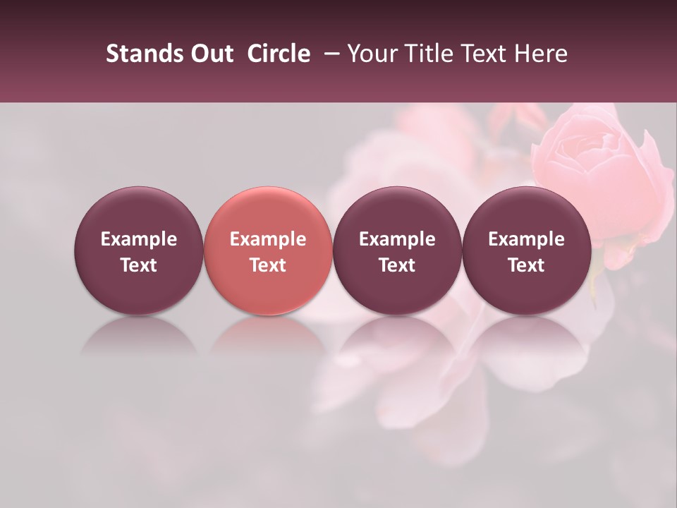 A Pink Rose Is In The Middle Of A Picture PowerPoint Template