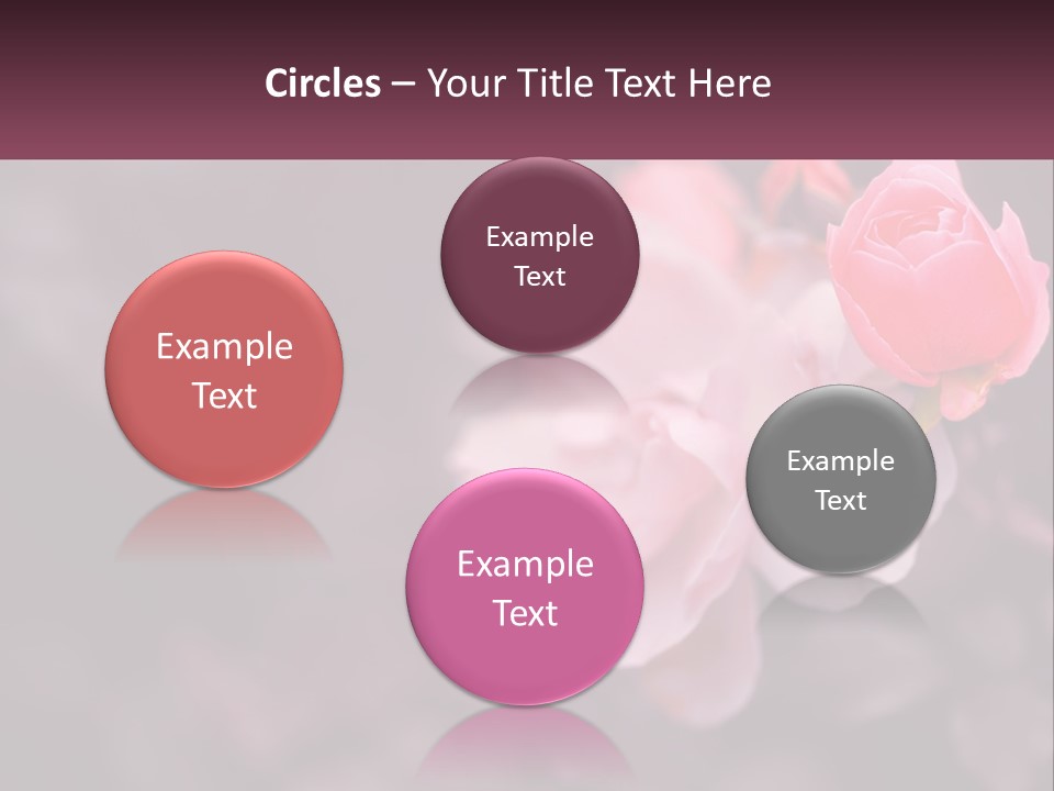 A Pink Rose Is In The Middle Of A Picture PowerPoint Template