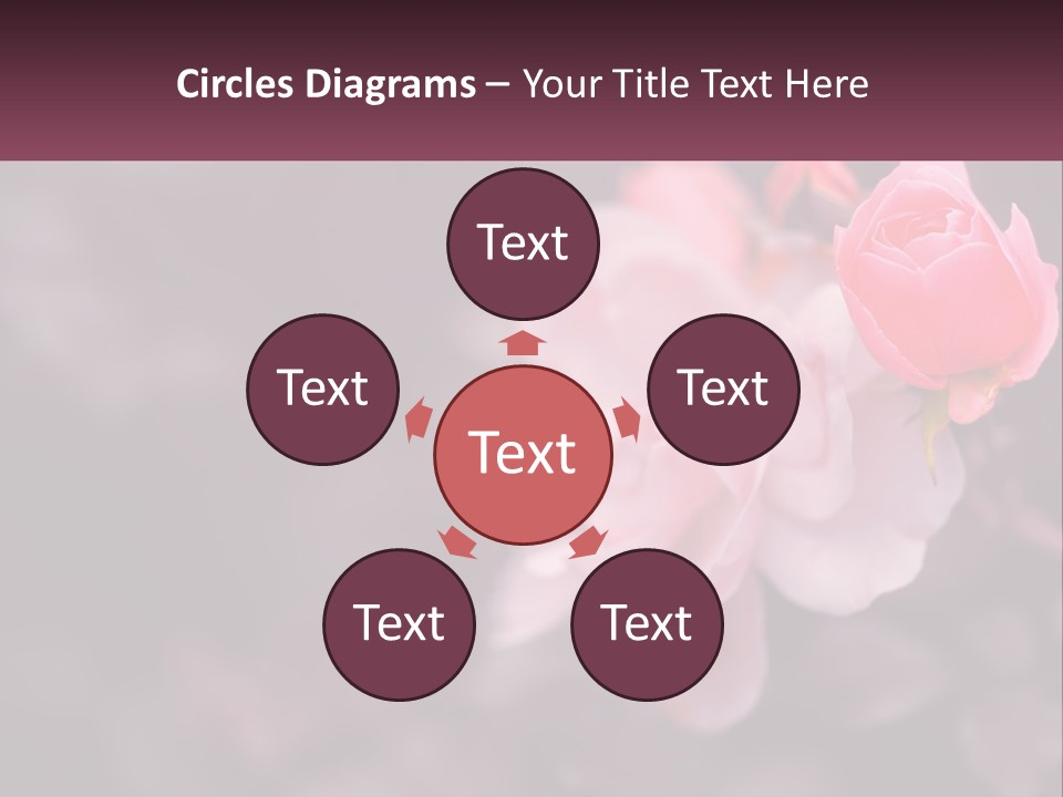 A Pink Rose Is In The Middle Of A Picture PowerPoint Template