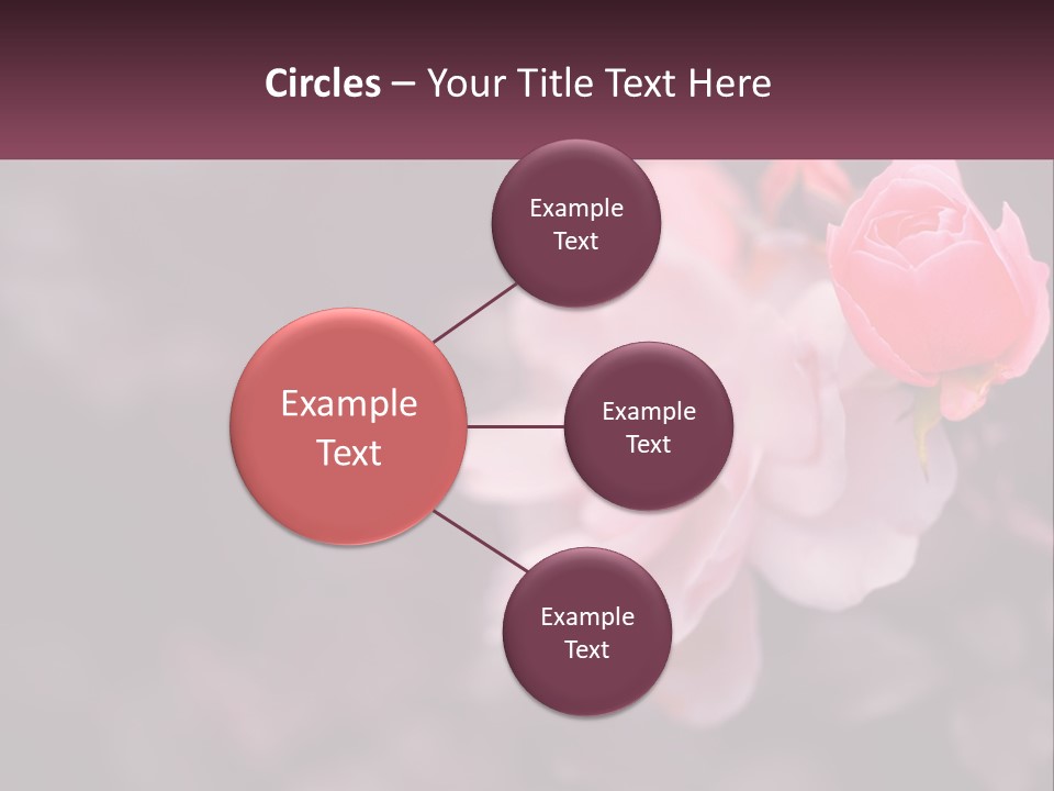 A Pink Rose Is In The Middle Of A Picture PowerPoint Template