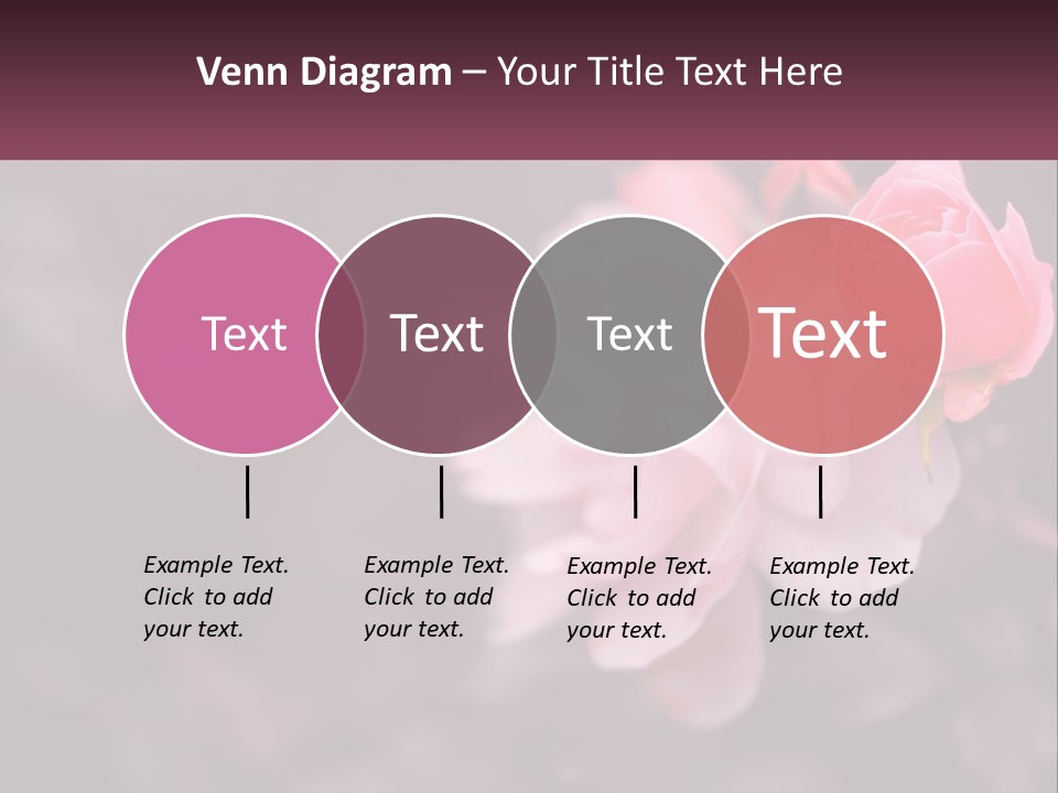 A Pink Rose Is In The Middle Of A Picture PowerPoint Template