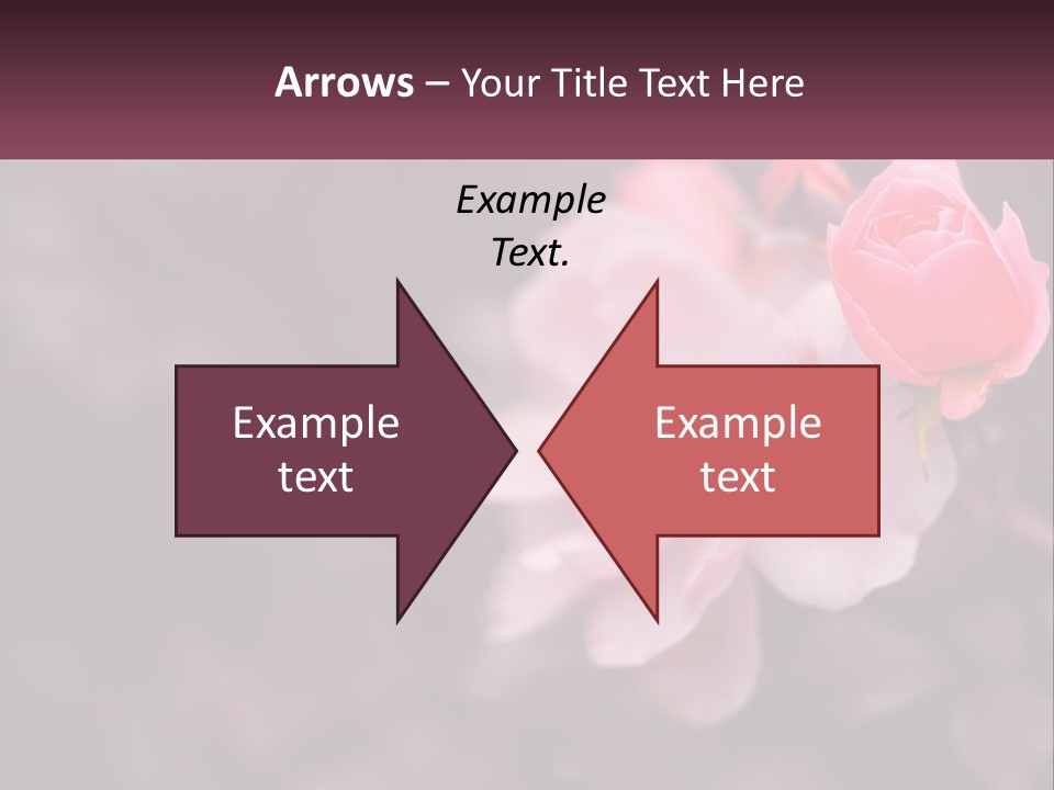 A Pink Rose Is In The Middle Of A Picture PowerPoint Template