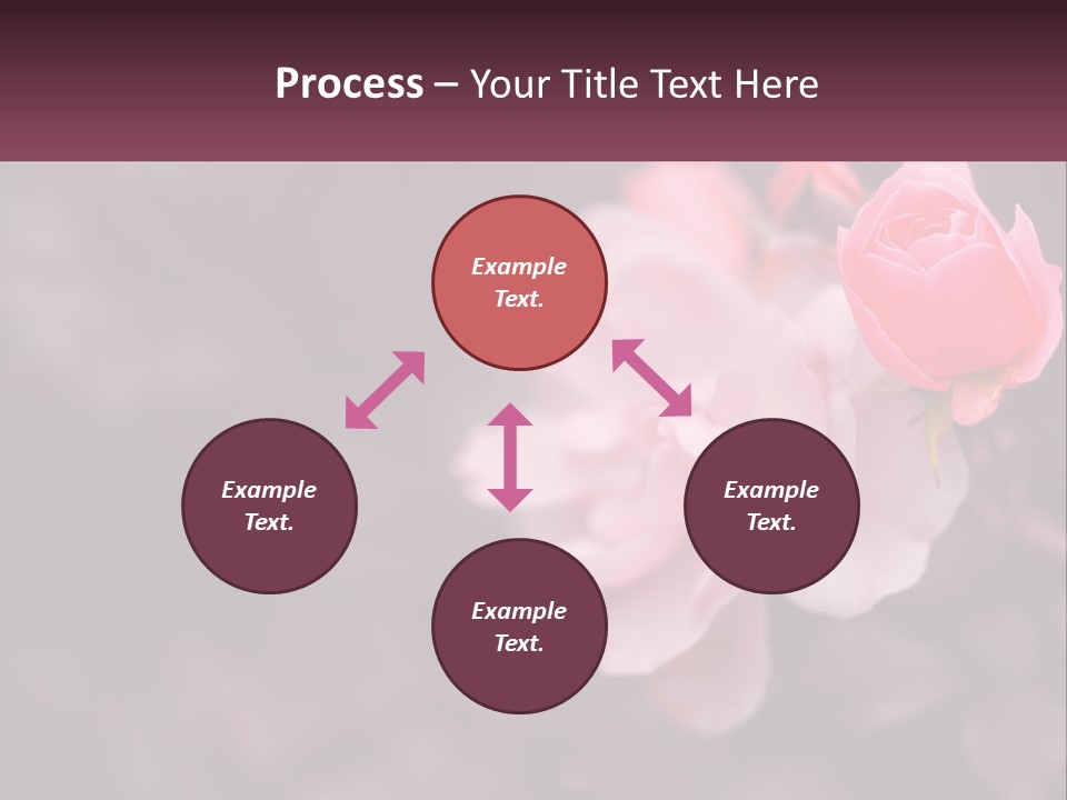 A Pink Rose Is In The Middle Of A Picture PowerPoint Template