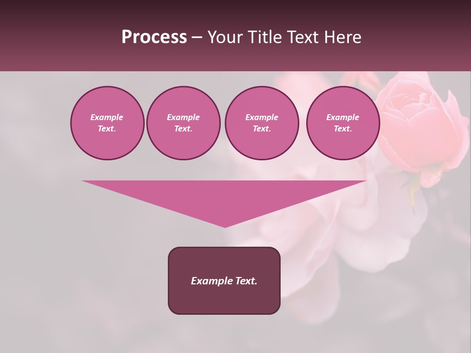 A Pink Rose Is In The Middle Of A Picture PowerPoint Template