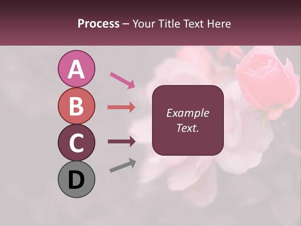 A Pink Rose Is In The Middle Of A Picture PowerPoint Template
