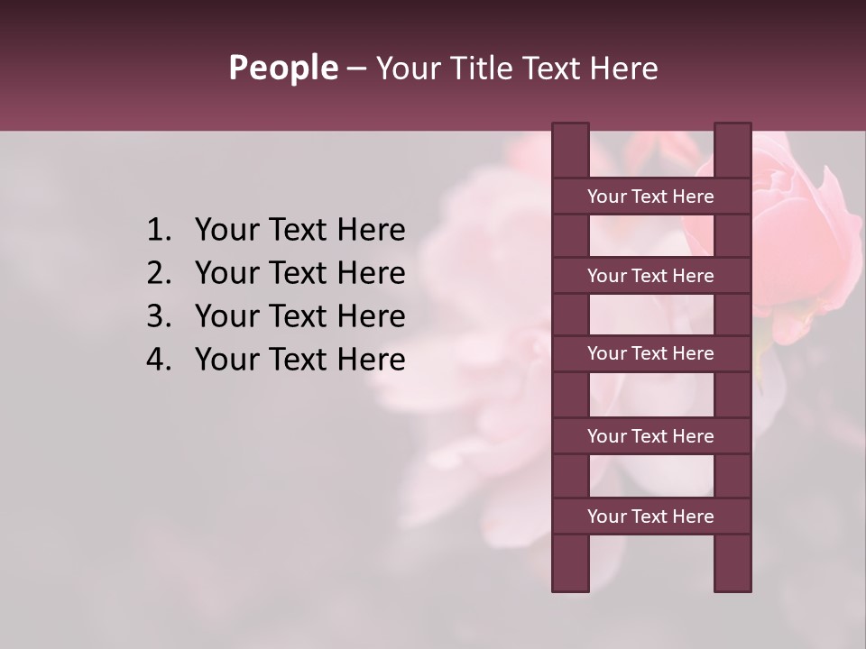 A Pink Rose Is In The Middle Of A Picture PowerPoint Template