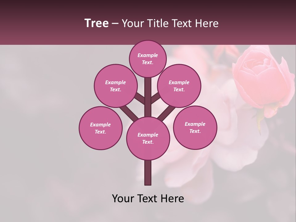 A Pink Rose Is In The Middle Of A Picture PowerPoint Template