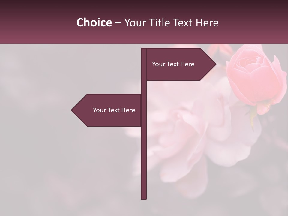 A Pink Rose Is In The Middle Of A Picture PowerPoint Template